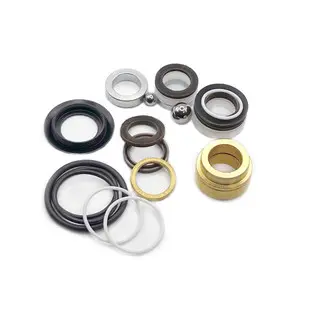 kit reparacion Graco 795